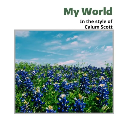 Karaoke My World von Calum Scott — mit Songtext mitsingen auf Singa