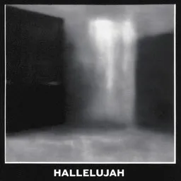 Cover art for Hallelujah - Hector karaoke version