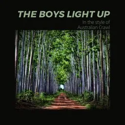 Cover art for The Boys Light Up - Australian Crawl karaoke version