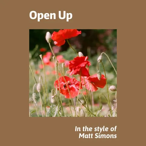 Karaoke Open Up by Matt Simons — sing along with lyrics on Singa