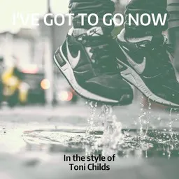 Cover art for Toni Childs
