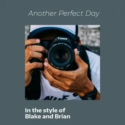 Cover art for Another Perfect Day - Blake and Brian karaoke version