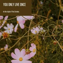 Titelbild für You Only Live Once - The Strokes Karaoke-Version