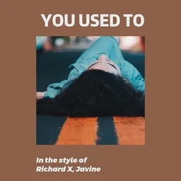 Titelbild für You Used To - Javine,Richard X Karaoke-Version