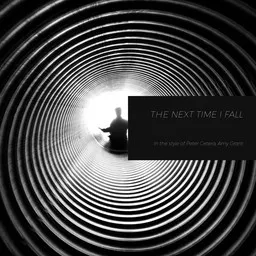Karaokekappaleen The Next Time I Fall - Amy Grant,Peter Cetera kansikuva