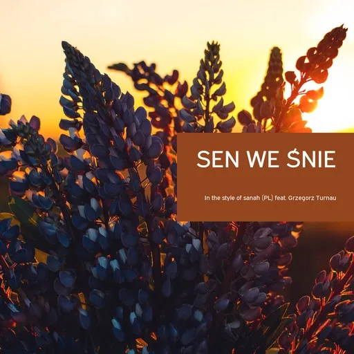Sen We Śnie - Karaoke