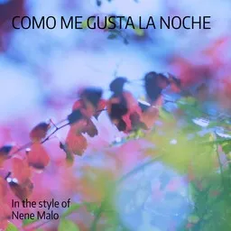Titelbild für Como Me Gusta La Noche - Nene Malo Karaoke-Version