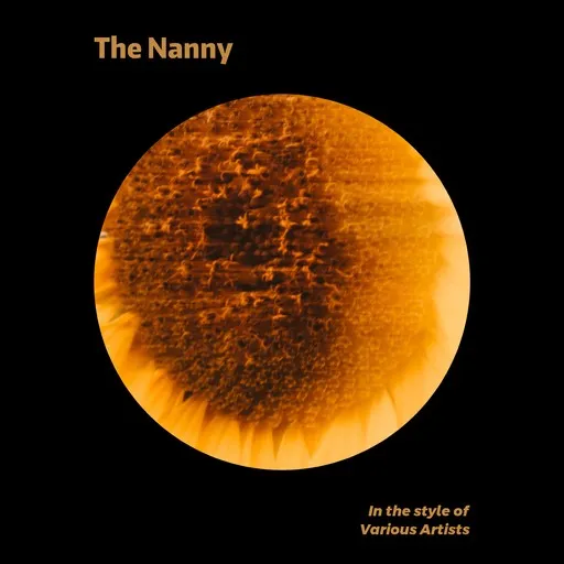 Karaoke The Nanny von Various Artists — mit Songtext mitsingen auf Singa