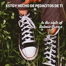 Titelbild für Estoy Hecho de Pedacitos de Ti - Antonio Orozco Karaoke-Version
