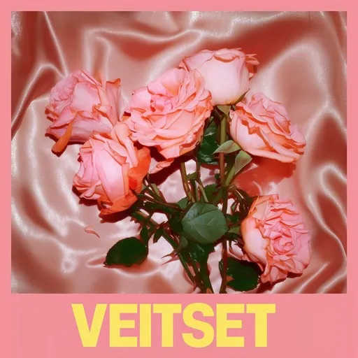 Karaoke Veitset by Ellinoora — sing along with lyrics on Singa