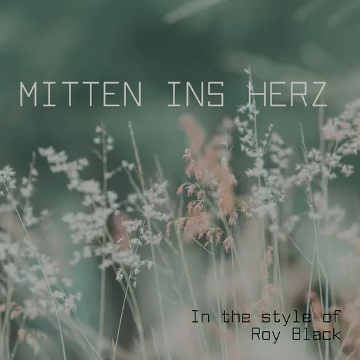 Mitten ins Herz - Karaoke