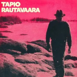 Cover art for Reissumies ja kissa - Tapio Rautavaara karaoke version