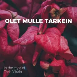 Omslagsbild för Olet Mulle Tärkein - Tarja Ylitalo karaokeversion
