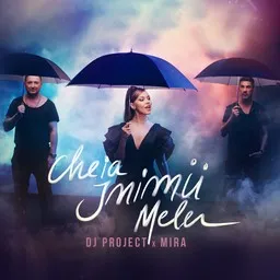 Cover art for Cheia Inimii Mele - DJ Project,Mira karaoke version