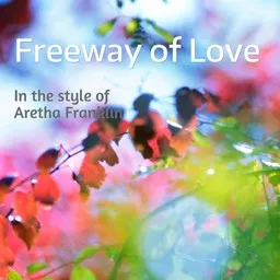 Omslagsbild för Freeway of Love - Aretha Franklin karaokeversion