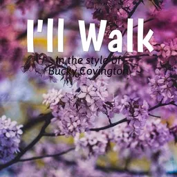 Cover art for I'll Walk - Bucky Covington karaoke version