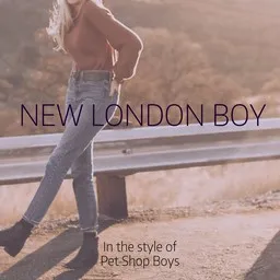 Titelbild für New London boy - Pet Shop Boys Karaoke-Version