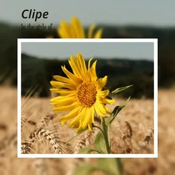 Cover art for Clipe - 3rei Sud Est karaoke version