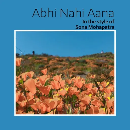 Karaoke Abhi Nahi Aana von Sona Mohapatra — mit Songtext mitsingen auf Singa