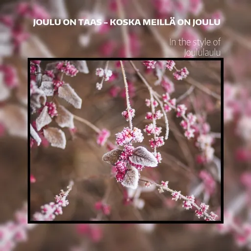 Joulu on taas - Koska meillä on joulu - Karaoke