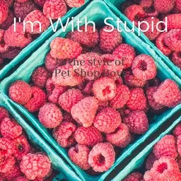 Titelbild für I'm With Stupid - Pet Shop Boys Karaoke-Version