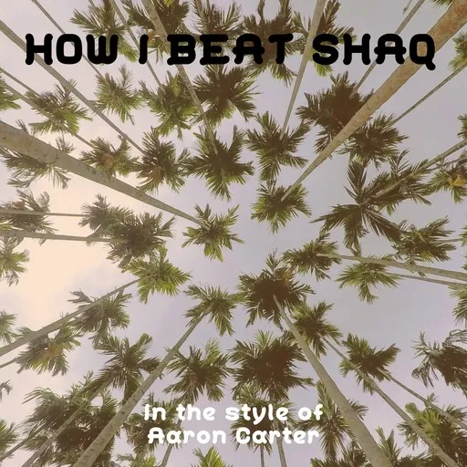 How I Beat Shaq - Karaoke