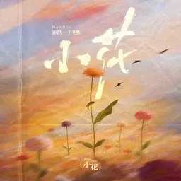 Cover art for 小花 - 于冬然 karaoke version
