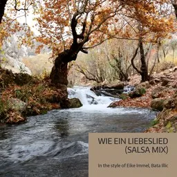 Titelbild für Wie ein Liebeslied (Salsa Mix) - Bata Illic,Eike Immel Karaoke-Version