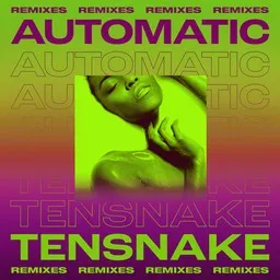 Omslagsbild för Automatic - Fiora,Tensnake karaokeversion