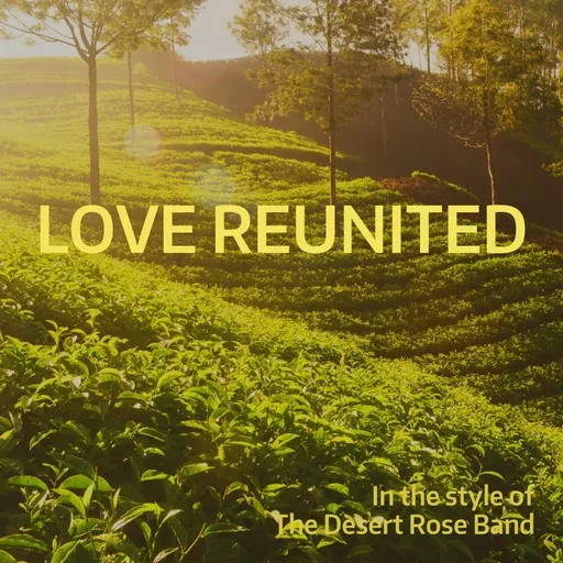 Karaoke Love Reunited by The Desert Rose Band — sing along with lyrics on Singa
