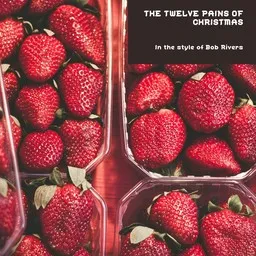 Cover art for The Twelve Pains Of Christmas - Bob Rivers karaoke version
