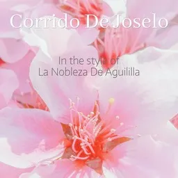Titelbild für Corrido De Joselo - La Nobleza De Aguililla Karaoke-Version