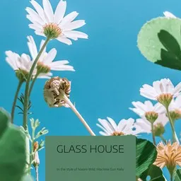 Titelbild für Glass House - Machine Gun Kelly,Naomi Wild Karaoke-Version