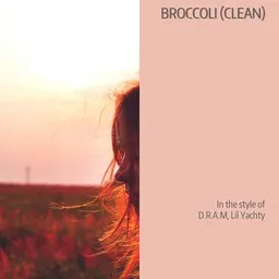 Cover art for Broccoli (clean) - D.R.A.M,Lil Yachty karaoke version