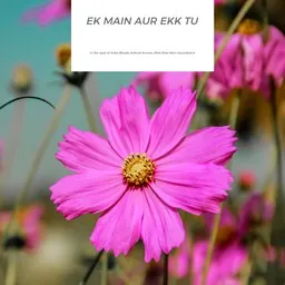 Cover art for Ek Main Aur Ekk Tu - Asha Bhosle,Khel Khel Mein Soundtrack,Kishore Kumar karaoke version