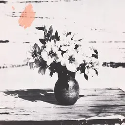 Cover art for Sä kaunehin oot - Laila Kinnunen,Ritva Kinnunen karaoke version