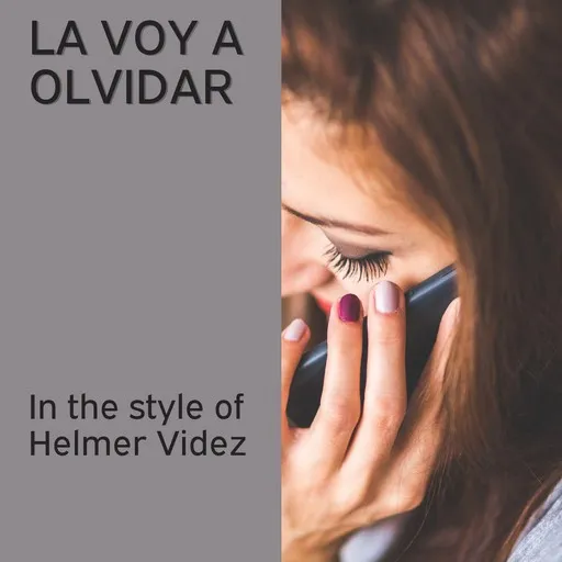 Karaoke La Voy A Olvidar von Helmer Videz — mit Songtext mitsingen auf Singa
