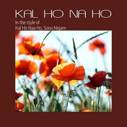 Kal Ho Na Ho - Karaoke