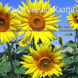 Titelbild für Payye Veesum Kaattil - Aanandam,Ashwin Gopakumar,Sneha Warrier Karaoke-Version