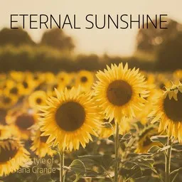 Cover art for Eternal Sunshine - Ariana Grande karaoke version