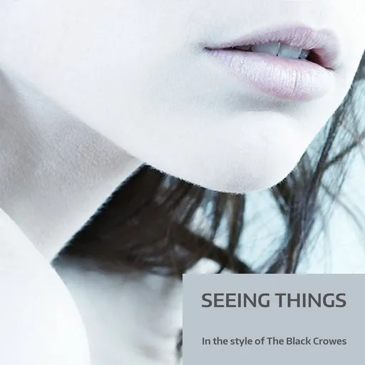 Karaoke Seeing Things by The Black Crowes — sing along with lyrics on Singa