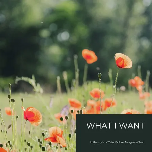 Karaoke What I Want esittäjältä Morgan Wallen, Tate McRae — laula mukana sanoituksilla Singassa