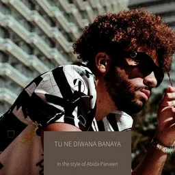 Omslagsbild för Abida Parveen