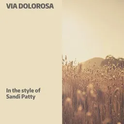 Cover art for Via Dolorosa - Sandi Patty karaoke version