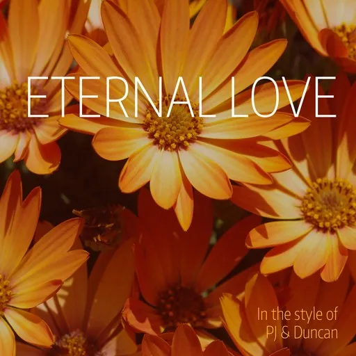 Eternal Love - Karaoke