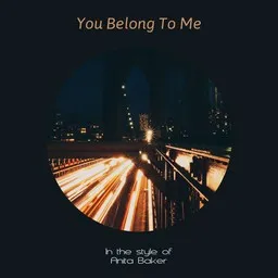 Cover art for You Belong To Me - Anita Baker karaoke version