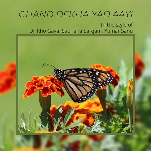 Karaoke Chand Dekha Yad Aayi av Dil Kho Gaya, Kumar Sanu, Sadhana Sargam — sjung med på texten på Singa