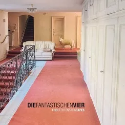 Cover art for MfG - Mit freundlichen Grüßen - Die Fantastischen Vier karaoke version