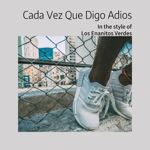 Karaoke Cada Vez Que Digo Adios by Los Enanitos Verdes — sing along with lyrics on Singa