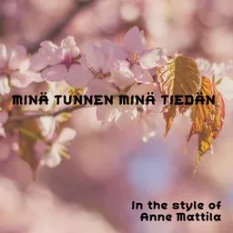 Cover art for Minä tunnen minä tiedän - Anne Mattila karaoke version